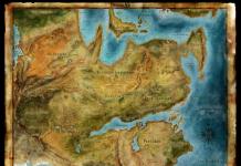Dragon Age: Origins, Справочник, Компаньоны персонажа